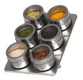 Blackwell Spice Rack Magnetic - Including 6 Spice Jars - Stainless Steel