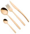 Jay Hill 16-Piece Cutlery Set Sull Gold