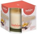 Bolsius Scented Candle True Scents Vanilla - 9.5 cm / ø 9.5 cm