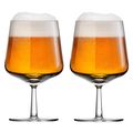 Iittala Beer Glasses Essence 480 ml - 2 Pieces