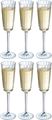 Cristal d'Arques Champagne Glasses Macassar 170 ml - 6 Pieces