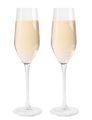 L' Atelier du Vin Champagne Glasses 160 ml - 2 Pieces