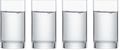 Schott Zwiesel Water Glasses Tavoro 240 ml - 4 pieces