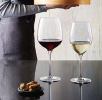 Bormioli Wine Glasses