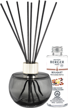 Maison Berger Fragrance Sticks Holly - Mousse Grey - 180 ml
