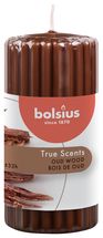 Bolsius Pillar Candle True Scents Old Wood 120/58 mm
