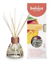 Bolsius Fragrance Sticks True Scents Mango 45 ml