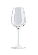 Rosenthal White Wine Glass DiVino 400 ml