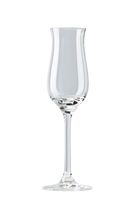Rosenthal Grappa Glass / Flute Glass DiVino 100 ml