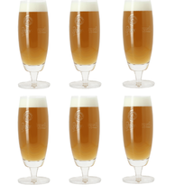 Pilsner Urquell Beer Glass 300 ml - 6 Pieces
