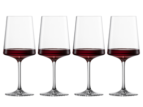 Schott Zwiesel Wine Glasses Allround Echo 572 ml - 4 Pieces
