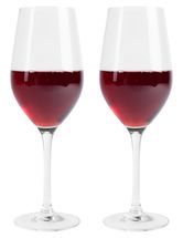 L' Atelier du Vin Red Wine Glasses 450 ml - 2 Pieces