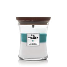 WoodWick Scented Candle Medium Icy Woodland Trilogy - 11 cm / ø 10 cm