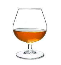 Arcoroc Cognac Glass Degustation 250 ml