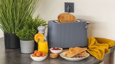 Alessi Toaster Plissé Grey - 6 settings - Michele de Lucchi - MDL08 G