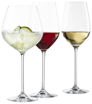 Schott Zwiesel 18-Piece Wine Glass Set Fortissimo