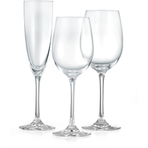 Schott Zwiesel 12-Piece Wine Glasses Set Classico